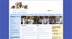 Desktop Screenshot of icvsasia.com